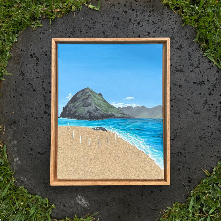 mokulua monk seal hawaii ocean art